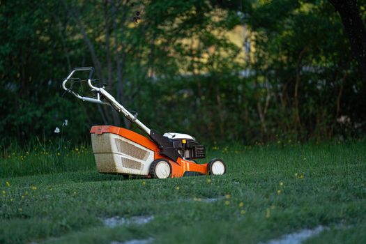 Winter Snow Clearing & Driveway Deicer Safety
