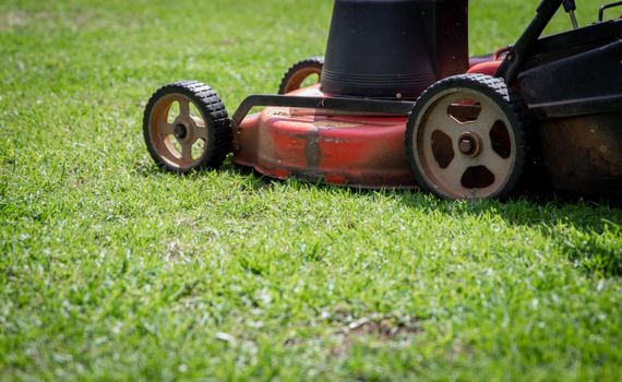 Autumn Lawn Aeration & Overseeding Maintenance